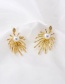 Fashion Golden Firework Pearl Micro-set Zircon Alloy Earrings