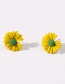 Fashion White Small Daisy Contrast Alloy Earrings