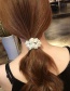 Fashion Brown Hand-woven Pearl Crystal High Elastic Hair Rope