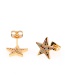 Fashion Golden Copper-inlaid Zircon Pentagram Earrings
