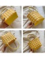 Fashion Caiwu Woven Contrast Color Vegetable Basket Handbag