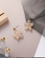 Fashion Golden Hollow Crystal Flower Alloy Earrings