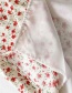 Fashion Beige One-piece Flower Print V-neck Lace Dress