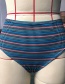 Fashion Blue Striped Printed High Waist Swim Trunks