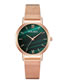 Fashion Green Quartz Ladies Watch With Mesh Scale Marble