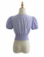Fashion Blue Pleated Short Sleeve Pullover V-neck Shirt