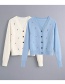 Fashion Blue V-neck Embroidered Single-breasted Sweater Sweater