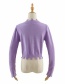 Fashion Purple V-neck Single-breasted Irregular Sweater Sweater