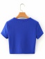 Fashion Blue Sun Flower Embroidered Round Neck T-shirt