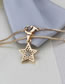 Fashion Golden Gold-plated Zirconium Five-pointed Star Earring Necklace Set