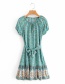 Fashion Lake Blue Aster Print Short-sleeved Dress With Belt