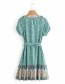 Fashion Lake Blue Aster Print Short-sleeved Dress With Belt
