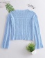 Fashion Blue Mesh Cutout Lace Knitted Top