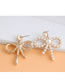 Fashion Rose Gold Butterfly Combined Gold Hollow Pearl Stud Earrings