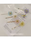 Fashion Color Flower Daisy Element Hairpin