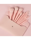 Fashion Pink Pure Color Makeup Brush Set