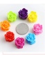 Fashion Opp Bag-50 Color Rose Clip Resin Love Crown Mouse Bunny Clip Set