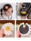 Fashion Flowers And Animals [10 Packs] Knitted Flowers Fruits Animals Bows Hit Color Velcro