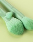 Fashion 10 Light Green Wooden Handle Aluminum Tube Makeup Brush Set