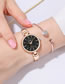 Fashion Rose Gold Black Surface Thin Steel Band Ol Strip Nail Face Quartz Steel Band Watch
