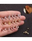 Fashion Big Moon Rose Gold Moon Micro-inlaid Zircon Stainless Steel Double-head Screw Geometric Earrings