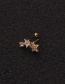 Fashion Five-pointed Star Gold Gold Screw Thin Rod Earrings Five-pointed Star Zircon Earrings Stainless Steel Piercing Ear Bone Studs Cross-border (1pcs)