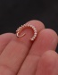 Fashion Rose Gold 2# Micro-inlaid Zircon Round Geometric Nose Ring