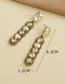 Fashion Champagne Alloy Diamond Earrings With Round Diamonds