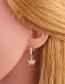 Fashion Crown Crown Drop-shaped Micro-set Zircon Earrings