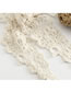 Fashion Ginger Solid Color Lace Cutout Shawl Scarf