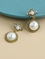 Golden Alloy Pearl Insect Ear Studs