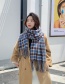 Fashion Pink Fringed Double-sided Plaid Cashmere Scarf