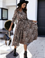 Fashion Big Leopard Long Sleeve V-neck Leopard Print Dress