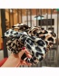 Fashion Light Grey Leopard-print Bow-knot Fabric Wide Brim Headband