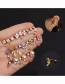 Fashion Round Chain Rose Gold Micro-inlaid Zircon Stainless Steel Geometric Earrings