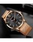 Fashion Rose Gold With Rose Gold Noodles Large Dial Ultra-thin Alloy Quartz Mens Watch