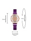 Fashion Brown Roman Scale Gypsophila Magnet Quartz Watch