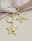 Fashion 1# Alloy Heart Five-pointed Star Earrings
