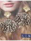Fashion Shell 5 Leopard Print Shell Earrings