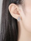 Fashion Platinum Copper Inlaid Zircon Flower Earrings