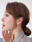 Fashion Fishtail Micro-inlaid Zircon Geometric Copper Pierced Earrings
