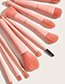 Fashion Pink 10 Pcs-princess Powder Makeup Brush