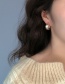 Fashion Silver Color Geometric Circle Texture Alloy Earrings