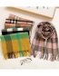 Fashion Yellow-green Double-faced Fleece Over 2 Years Old Check Cashmere Fringed Children Scarf