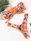 Fashion Printing Printed Tube Top Strappy Split Swimsuit