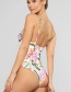 Fashion Printing Printed Open Back One-piece Swimsuit