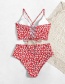 Fashion Red High-waisted Floral Print Tie Split Swimsuit