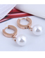Fashion Gold Color Titanium Steel Pearl Geometric Stud Earrings