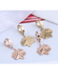 Fashion Gold Color Titanium Steel Maple Leaf Geometric Stud Earrings