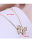 Fashion Gold Color Butterfly Titanium Opal Necklace